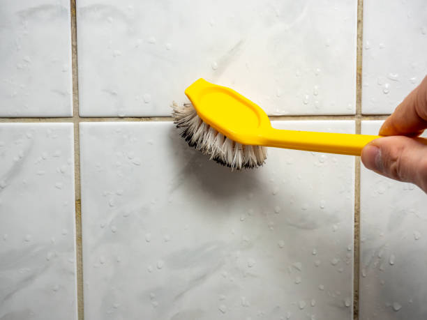 Best Mold Testing  in Mayfield, OH