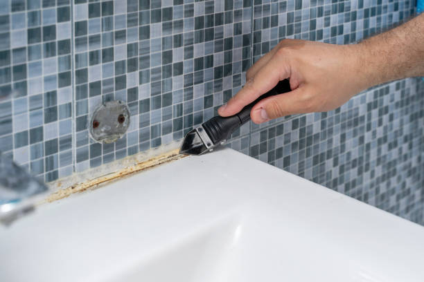 Best Local Mold Removal Service  in Mayfield, OH